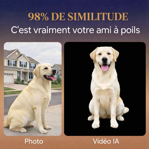 Souvenir holographique personnalisé pour animal de compagnie